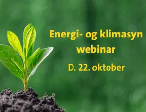Energisyn og klimasyn